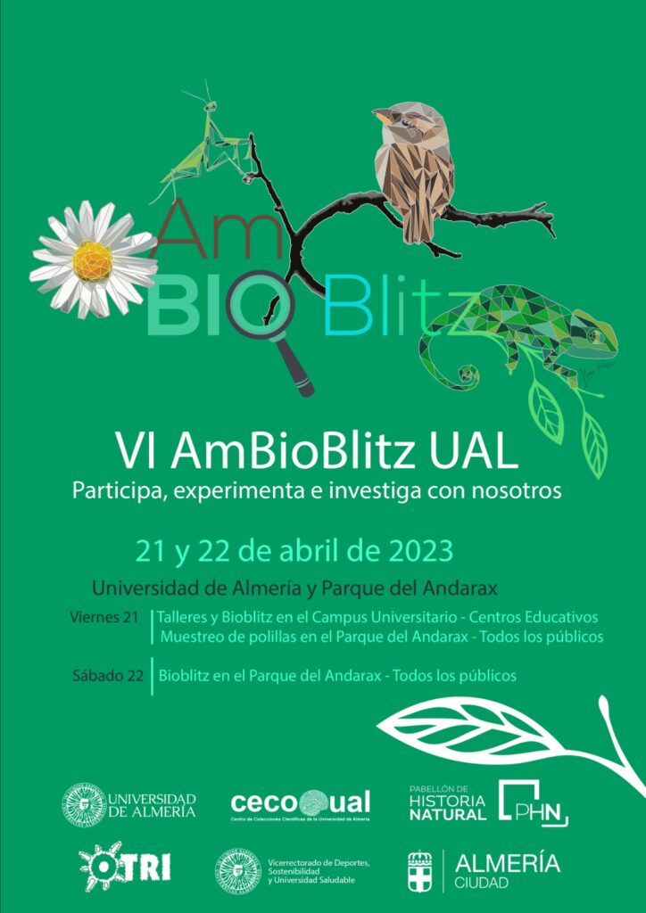 ambioblitz UAL