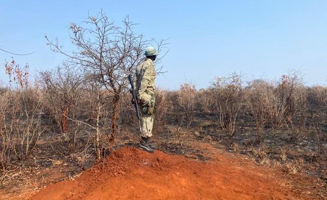 4 - A ranger at uMkhuze scanning the landscape for signs of wildlife. Image credit Jasper Visser