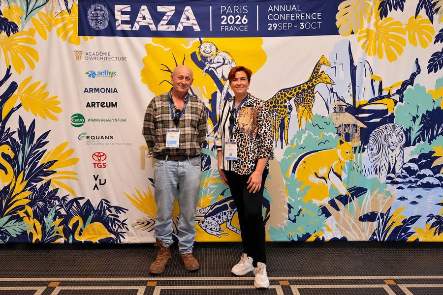Conferencia EAZA 2026 participación MiniHollywood Oasys